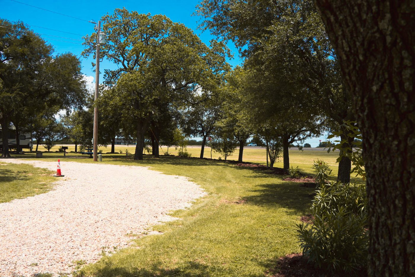 Easy, tree-lined lanes