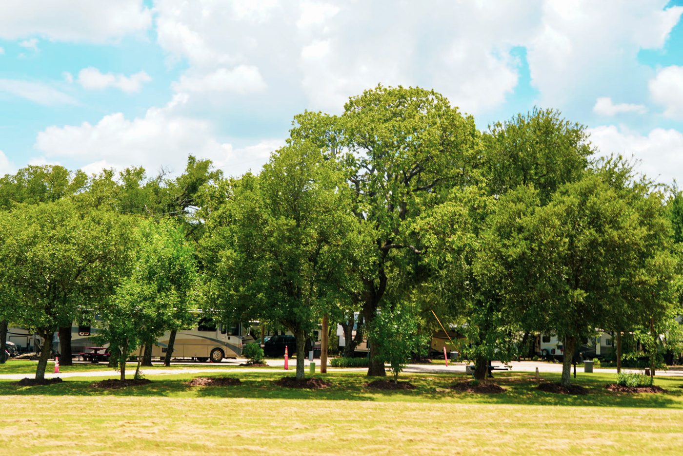 Green space to breathe