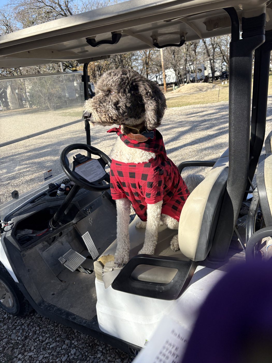 Ranger, riding shotgun
