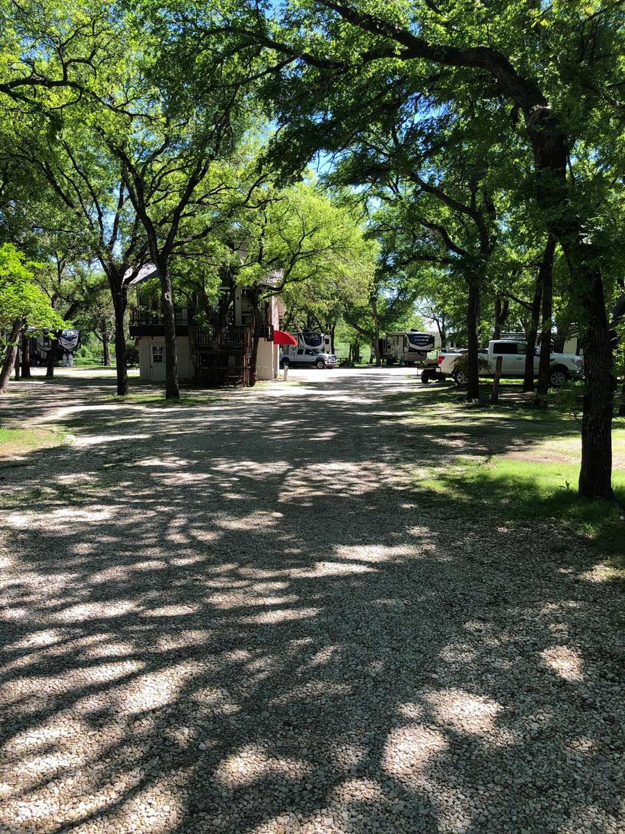 A canopy that beats the Texas heat